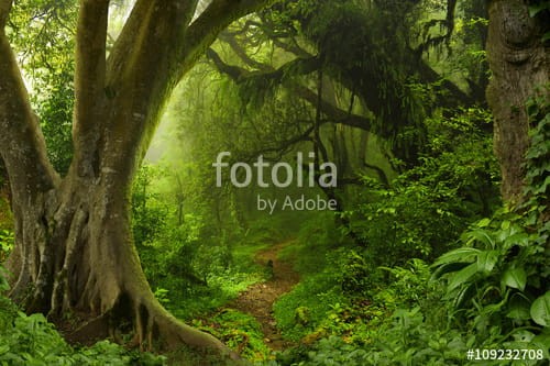 sssfotolia_109232708.jpg